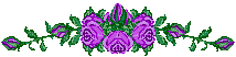 purpflr.gif